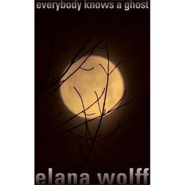 Everybody Knows a Ghost
