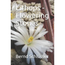 Lithops - Flowering Stones