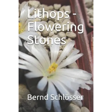 Lithops - Flowering Stones