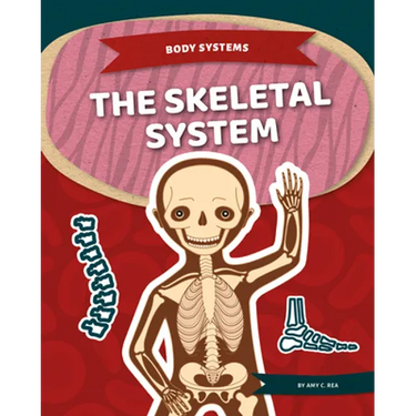 Skeletal System