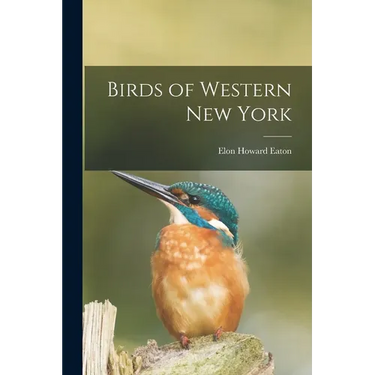 Birds of Western New York