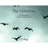 The Collective: Photography Coffee Table Book