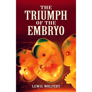 The Triumph of the Embryo