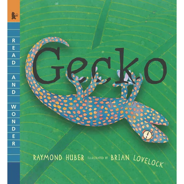 Gecko: Read and Wonder