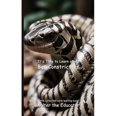 It's Time to Learn about Boa Constrictors