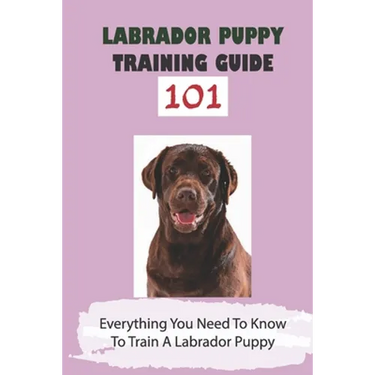 Labrador Puppy Training Guide 101: Everything You Need To Know To Train A Labrador Puppy: Leash Training Tips For Labrador