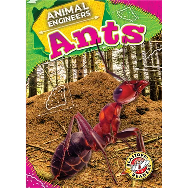 Ants