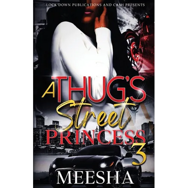A Thug's Street Princess 3