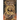 House of Flame and Shadow