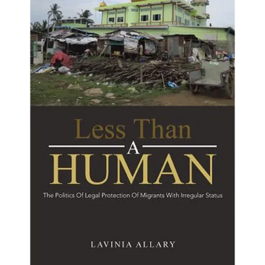 Less Than a Human: The Politics of Legal Protection of Migrants with Irregular Status