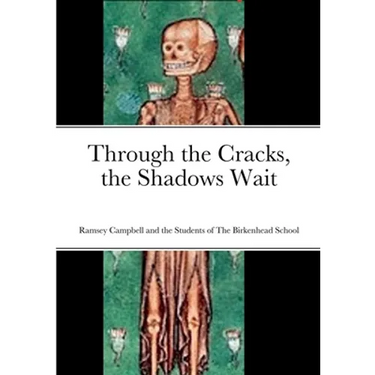 Through the Cracks, the Shadows Wait