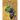 Africa