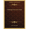 Gatherings from Grave Yards