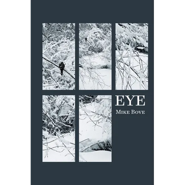 Eye