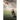 Loneliness