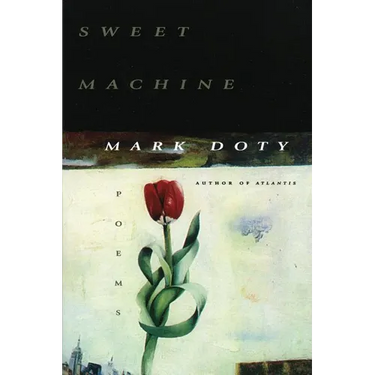 Sweet Machine