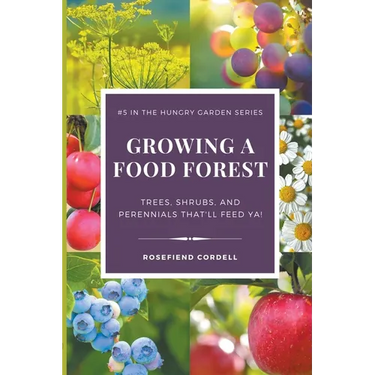 Growing a Food Forest - Trees, Shrubs, & Perennials That'll Feed Ya!
