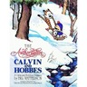 The Authoritative Calvin and Hobbes: A Calvin and Hobbes Treasury Volume 2