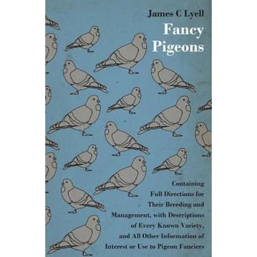 Fancy Pigeons: Containing Full Directions For Their Breeding And Management