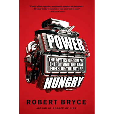 Power Hungry: The Myths of "Green" Energy and the Real Fuels of the Future