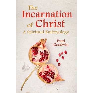 The Incarnation of Christ: A Spiritual Embryology