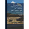 Rambles In Wonderland, Or, Up The Yellowstone: And Among The Geysers And Other Curiosities Of The National Park