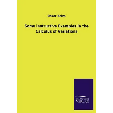 Some Instructive Examples in the Calculus of Variations