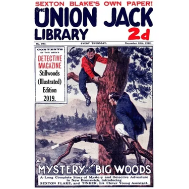 A Mystery in the Big Woods (Illustrated)