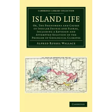 Island Life