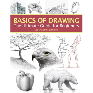 Basics of Drawing: The Ultimate Guide for Beginners