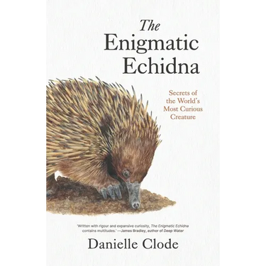 The Enigmatic Echidna: Secrets of the World's Most Curious Creature