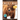 Grizzly Bear: Fascinating Animal Facts for Kids