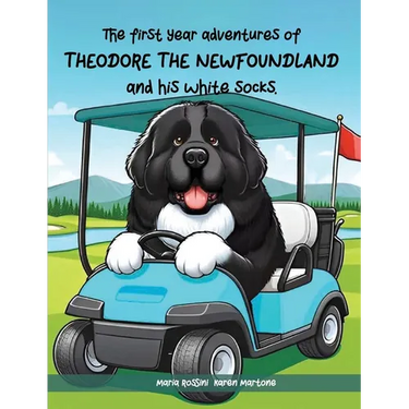 The First Year Adventures Of Theodore The Newfoundland And His White Socks