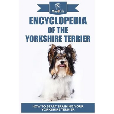 Encyclopedia of the Yorkshire Terrier: How to Start Training Your Yorkshire Terrier
