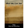 What We Can See
