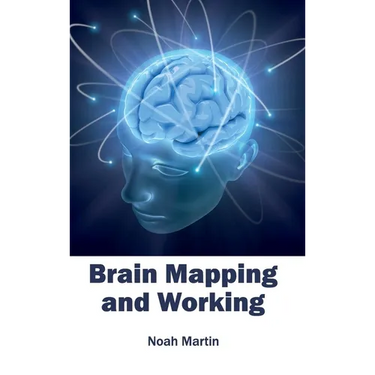 Brain Mapping and Working