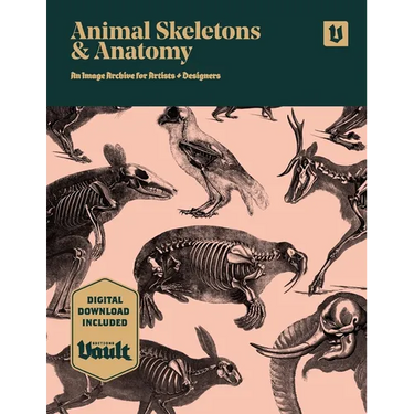 Animal Skeletons and Anatomy: An Image Archive for Artists and Designers