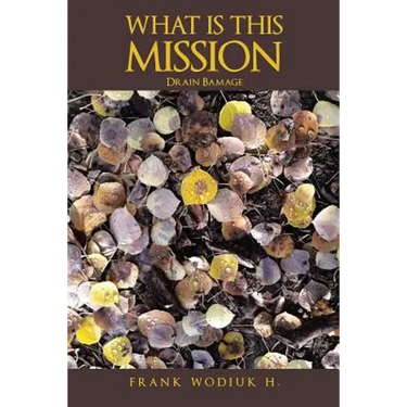 What Is This Mission: Drain Bamage