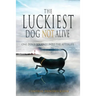 The Luckiest Dog Not Alive