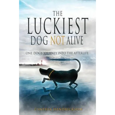 The Luckiest Dog Not Alive