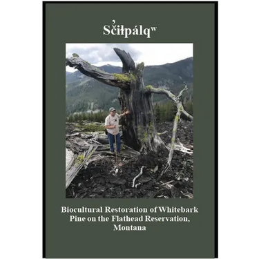 Sãiçpálî: Biocultural Restoration of Whitebark Pine on the Flathead Reservation, Montana