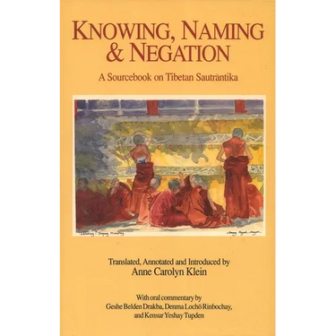 Knowing, Naming and Negation