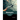 Bioenergetics