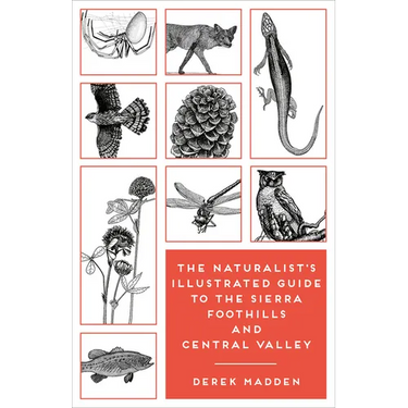 The Naturalist's Illustrated Guide to the Sierra Foothills and Central Valley