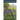 Prairie Fever