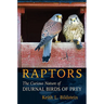 Raptors: The Curious Nature of Diurnal Birds of Prey