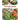 Summer Salads