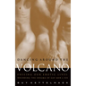 Dancing Around the Volcano: Freeing Our Erotic Lives: Decoding the Enigma of Gay Men and Sex