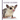 Sugar Gliders