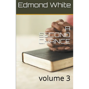 A Second Chance Volume 3